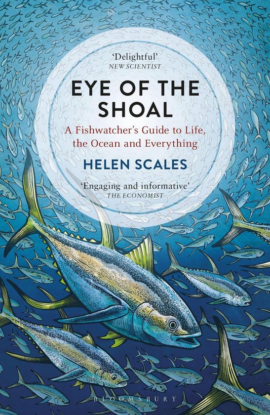 Eye of the Shoal