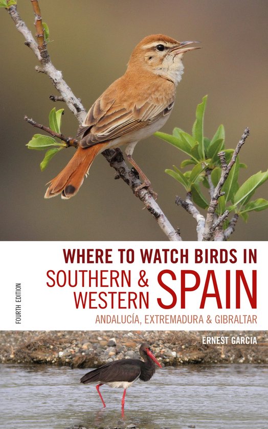 Where to Watch Birds in Southern and Western Spain Andalucia, Extremadura and Gibraltar