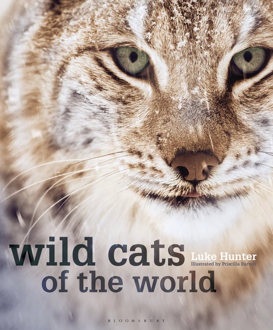 Wild Cats of the World