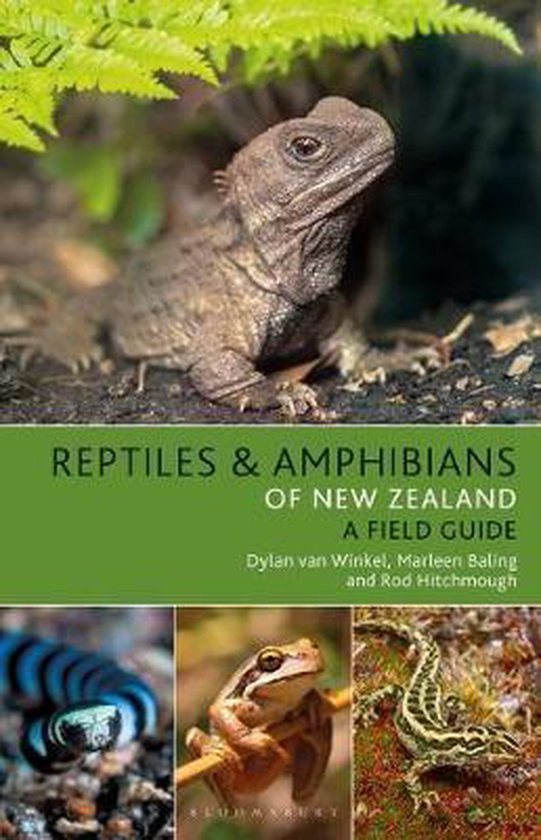 Reptiles and Amphibians of New Zealand