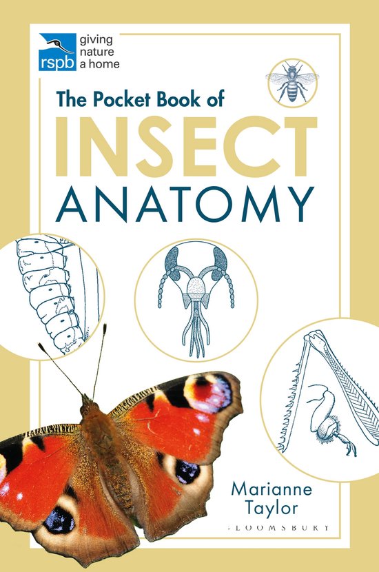 The Pocket Book of Insect Anatomy RSPB