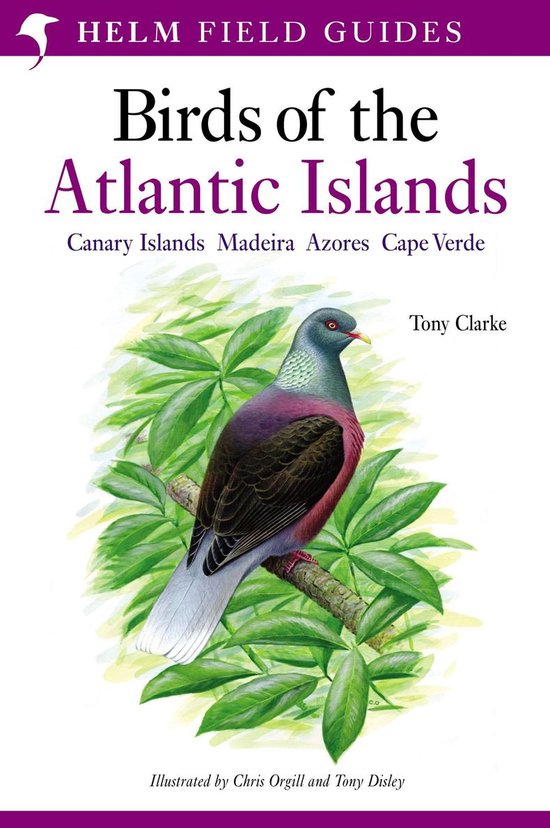 Helm Field Guides - Field Guide to the Birds of the Atlantic Islands