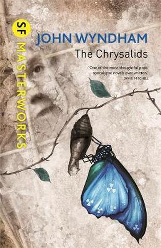 Chrysalids