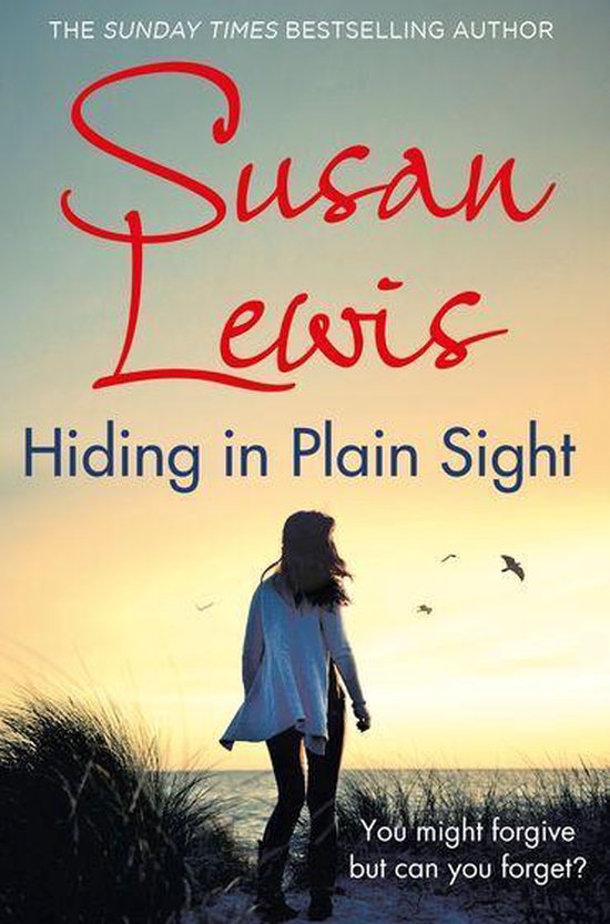 The Detective Andee Lawrence Series 4 - Hiding in Plain Sight