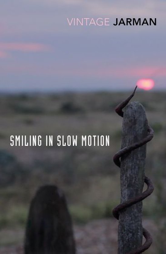 The Journals of Derek Jarman 2 - Smiling in Slow Motion