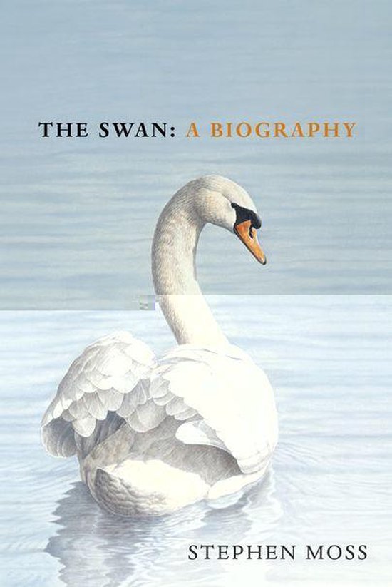 The Bird Biography Series 4 - The Swan