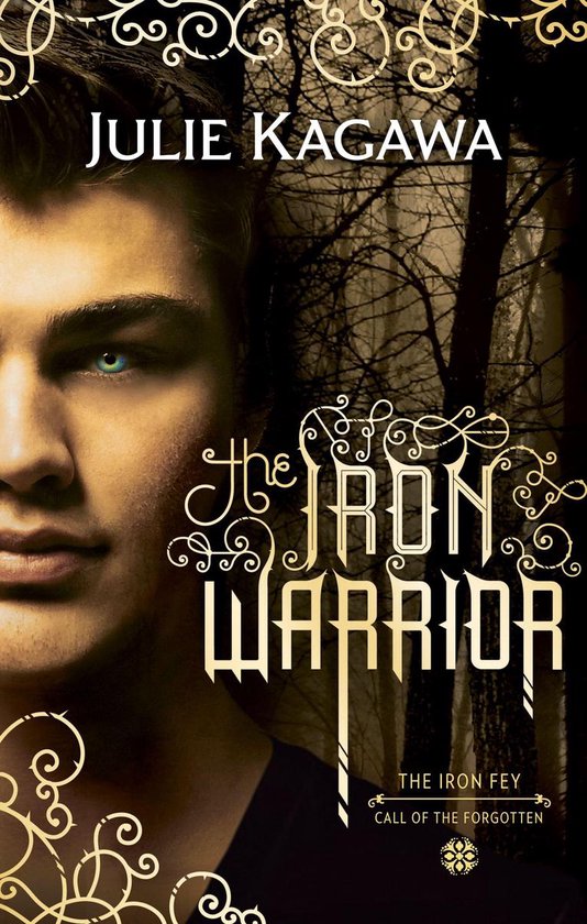 The Iron Fey 7 - The Iron Warrior (The Iron Fey, Book 7)