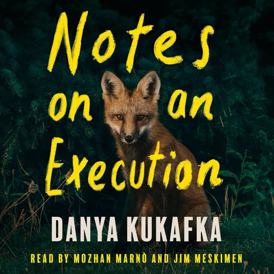 Notes on an Execution