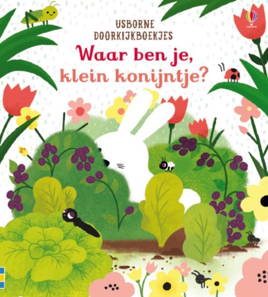 Usborne Doorkijkboekjes 1 - Waar ben je, klein konijntje?