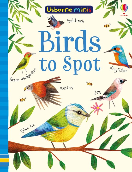 Birds to Spot Usborne Minis