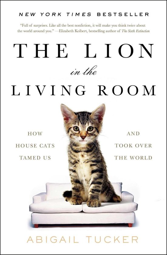 A Gift for Cat Lovers - The Lion in the Living Room