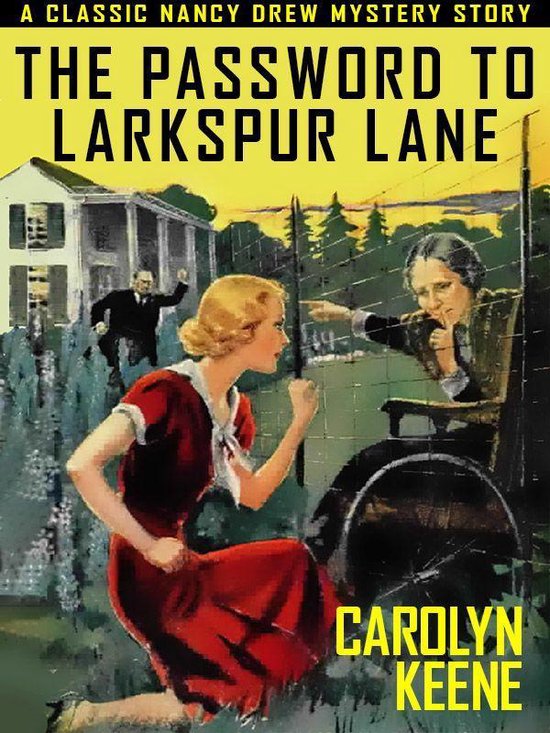 The Password to Larkspur Lane