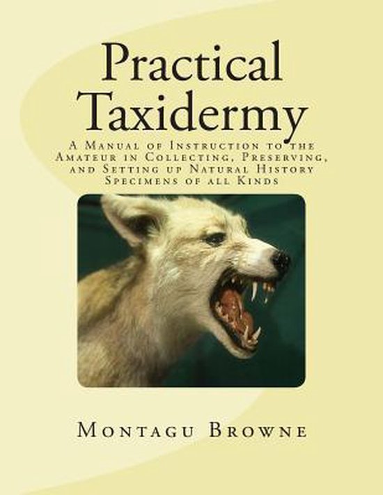 Practical Taxidermy