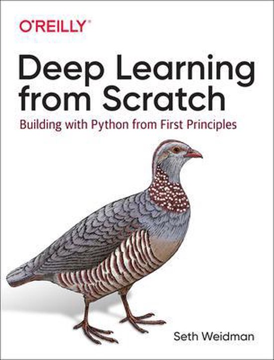 Deep Learning from Scratch Building with Python from First Principles