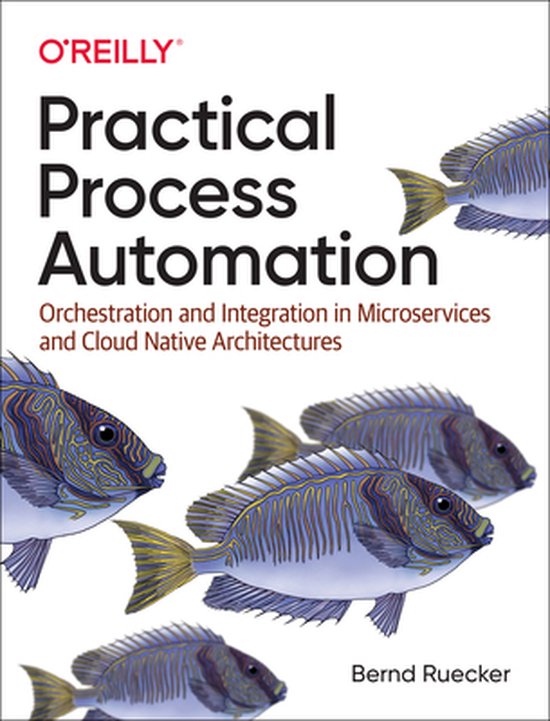 Practical Process Automation