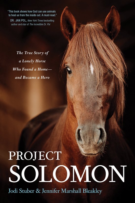 Project Solomon