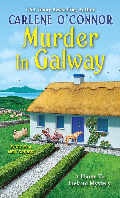 Murder in Galway A Home to Ireland Mystery 1