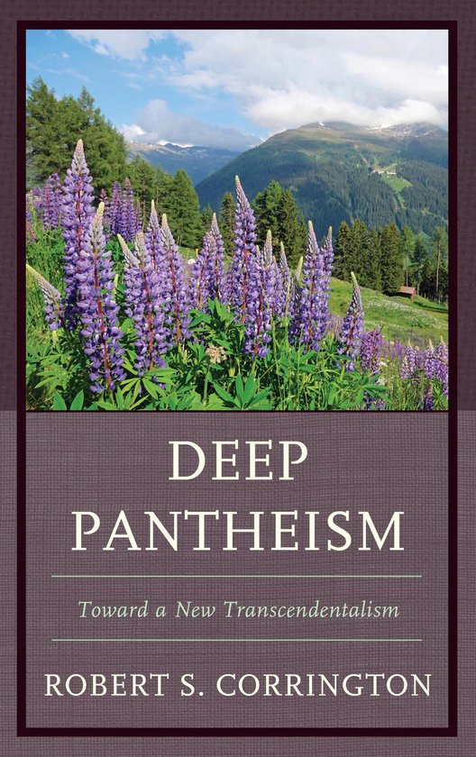 Deep Pantheism