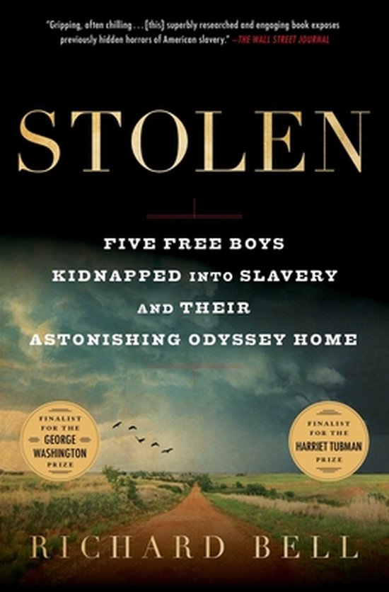 Stolen Five Free Boys Kidnapped Into Slavery and Their Astonishing Odyssey Home