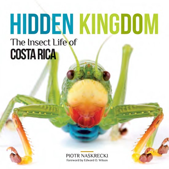 Hidden Kingdom The Insect Life of Costa Rica Zona Tropical Publications