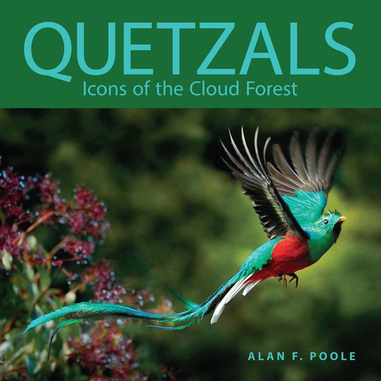 Zona Tropical Publications- Quetzals