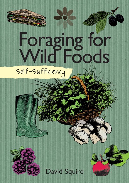 Self Sufficiency Foraging For Wild Foods