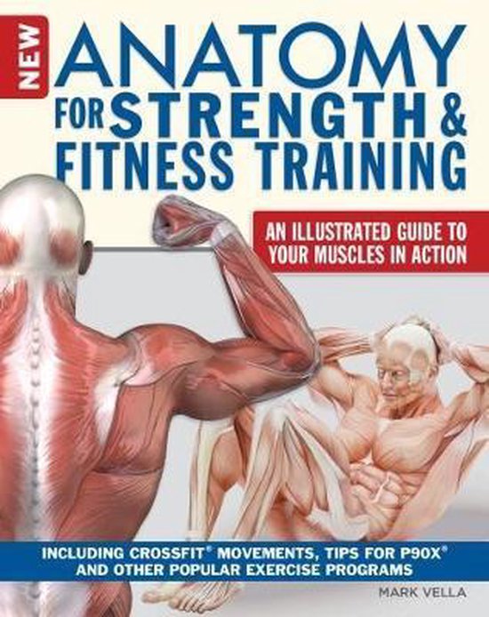 Anatomy for Strength and Fitness Training