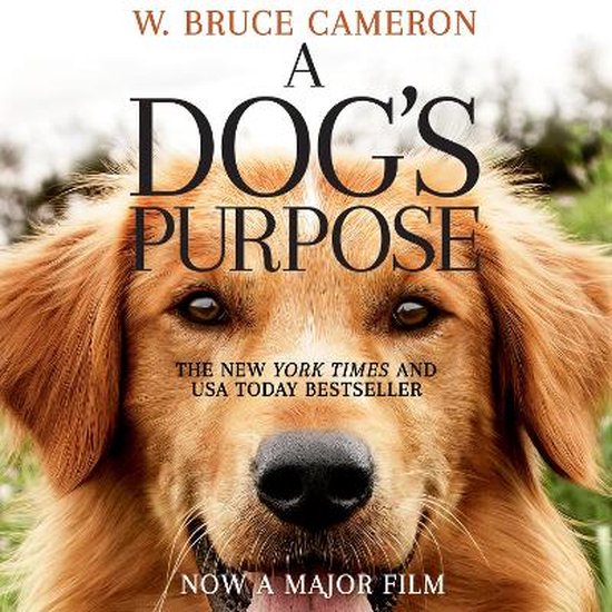 A Dog's Purpose