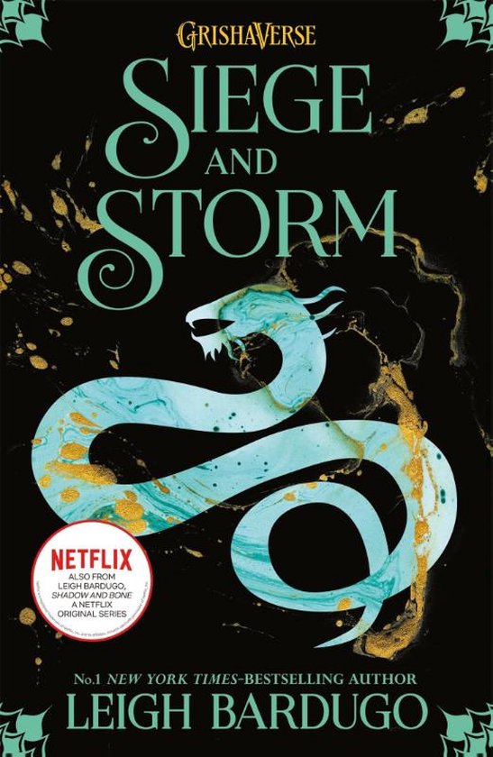 Shadow and Bone Siege and Storm Book 2