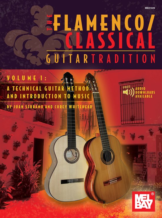 The Flamenco/Classical Guitar Tradition