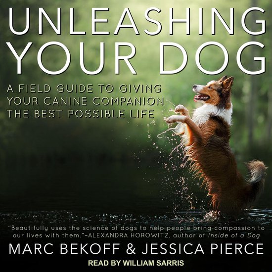 Unleashing Your Dog