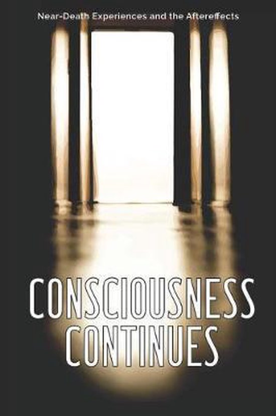 Consciousness Continues