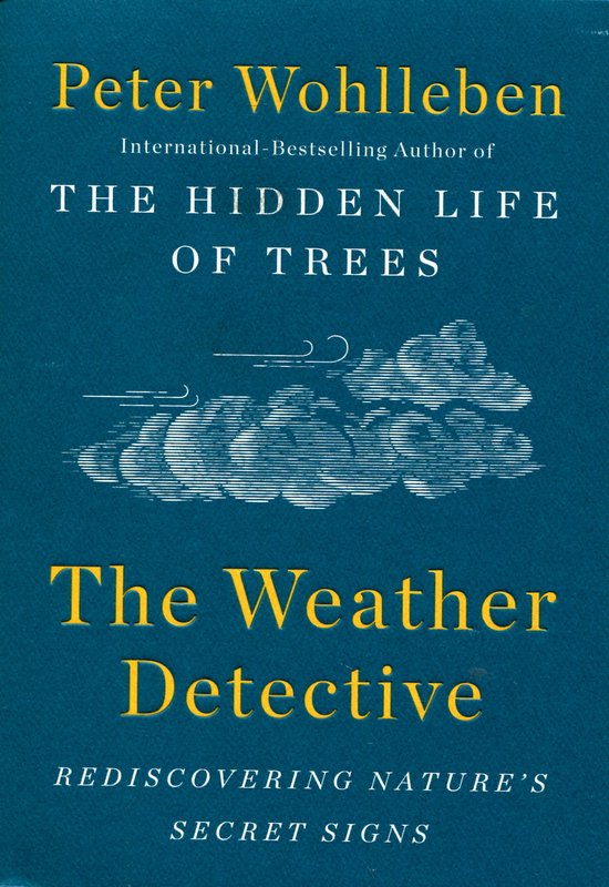 The Weather Detective