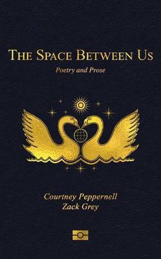 The Space Between Us Poetry and Prose