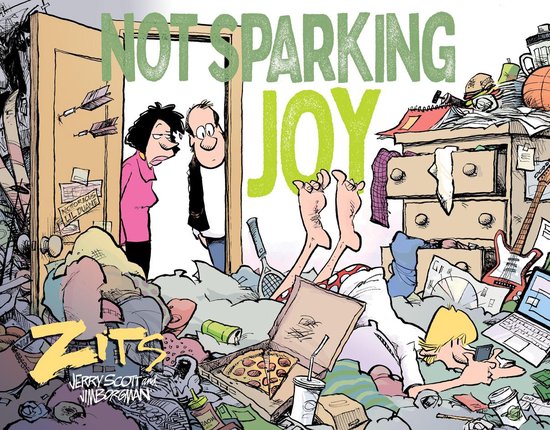 Zits - Not Sparking Joy