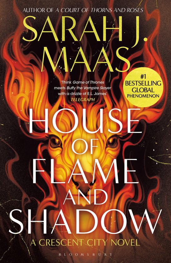 Crescent City- House of Flame and Shadow