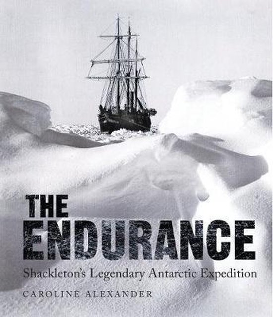 The Endurance