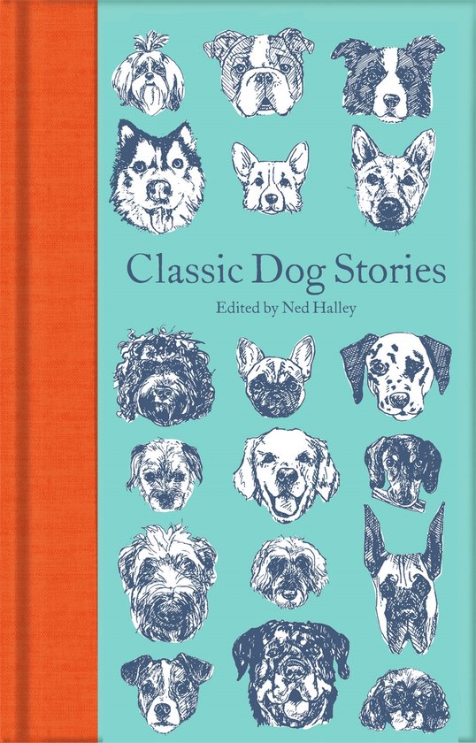 Classic Dog Stories Macmillan Collector's Library