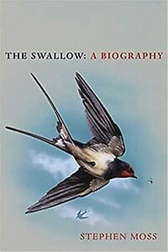 The Swallow