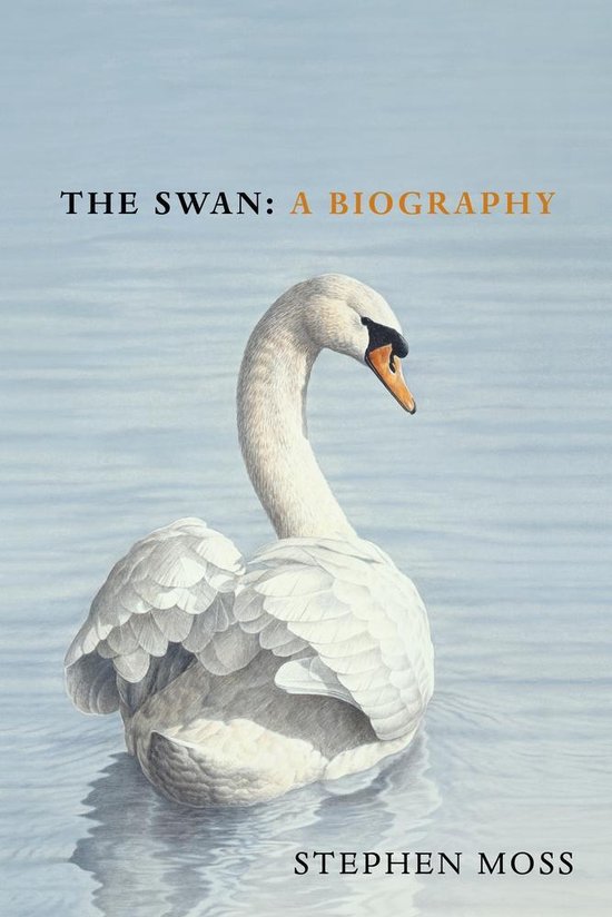 The Bird Biography Series4-The Swan