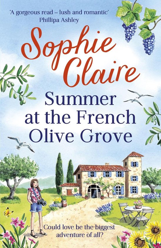 Summer at the French Olive Grove