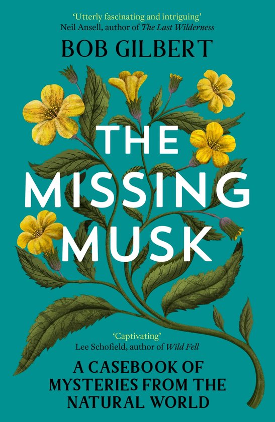 The Missing Musk