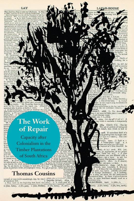 Thinking from Elsewhere-The Work of Repair