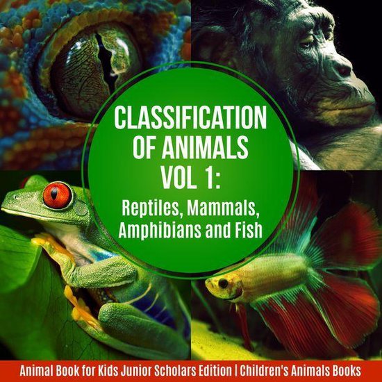 Classification of Animals Vol 1 : Reptiles, Mammals, Amphibians and Fish Animal Book for Kids Junior Scholars Edition Children's Animals Books