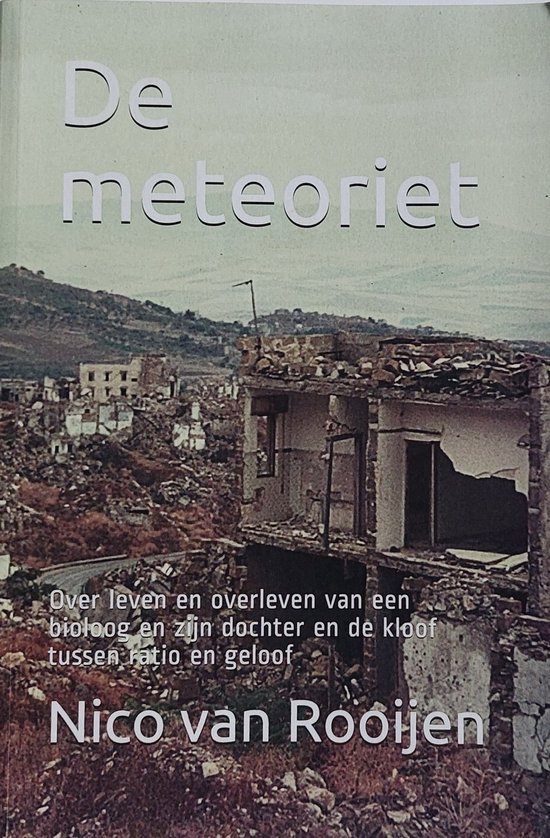 De meteoriet.