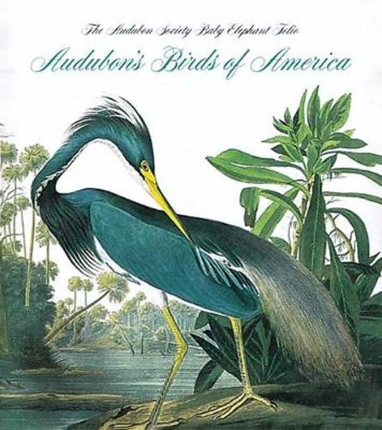 Audubon's Birds Of America The Audubon Society Baby Elephant Folio