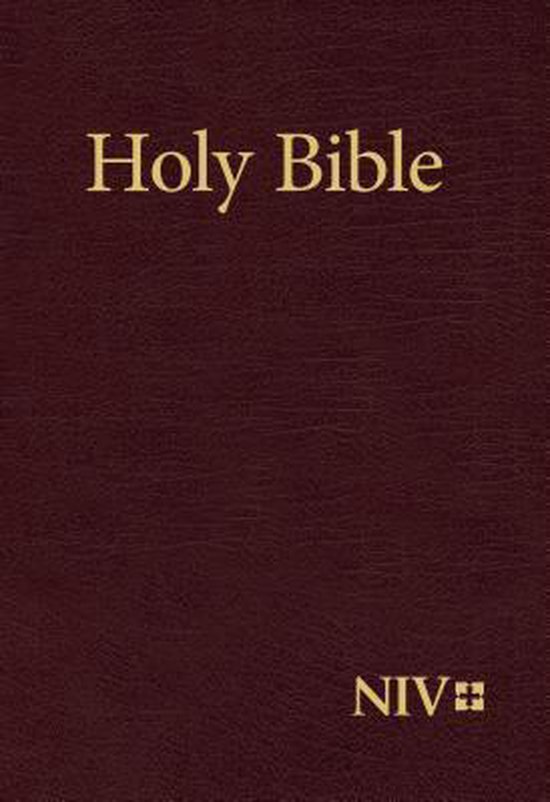 NIV Holy Bible