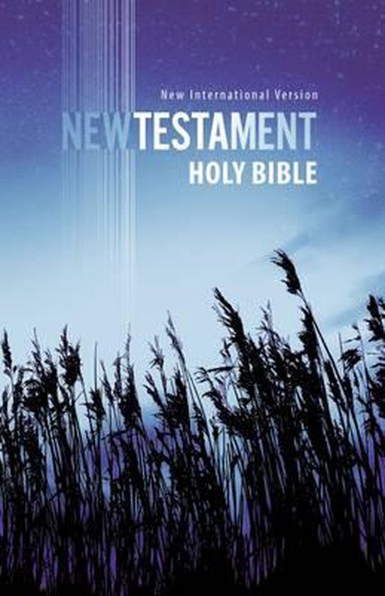 NIV new testament