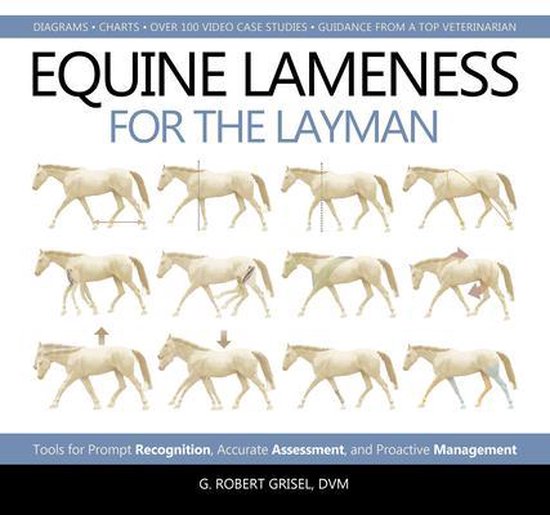 Equine Lameness for the Layman