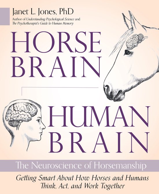 Horse Brain, Human Brain